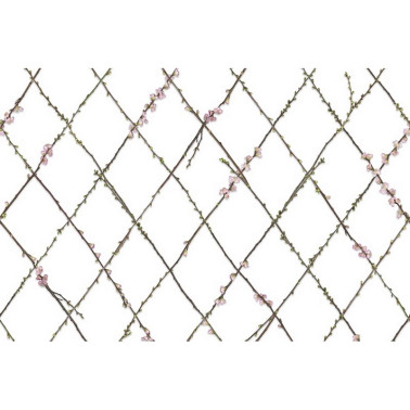 Papel Pintado R13221 WINDING SPRING - REBEL WALLS