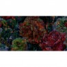 Papel Pintado SLOW MOTION WDSM1802 - WALL AND DECO