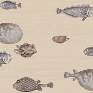 Papel Pintado Acquario 114-16033 - COLE and SON
