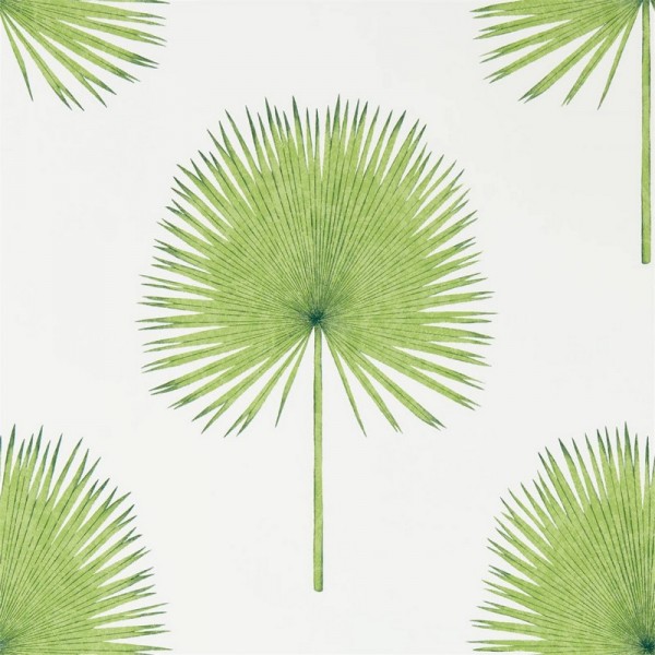 FAN PALM DGLW216636 Botanical Green