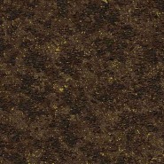 Bearded Leopard MO2053