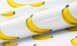 Bananas FP1122