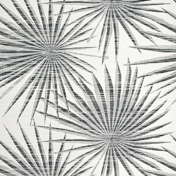 Palm Frond T10145 Black and White