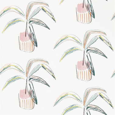 Papel Pintado Crassula 111992 Blush Mint - SCION