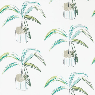 Papel Pintado Crassula 111993 Juniper Lime - SCION