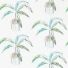 Papel Pintado Crassula 111993 Juniper Lime - SCION