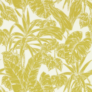 Papel Pintado Parlour Palm 112022 Citrus - SCION