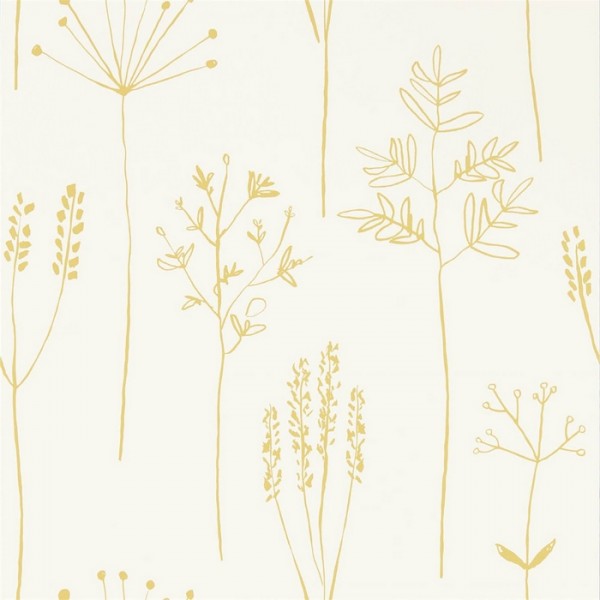 Stipa 112021 Honey