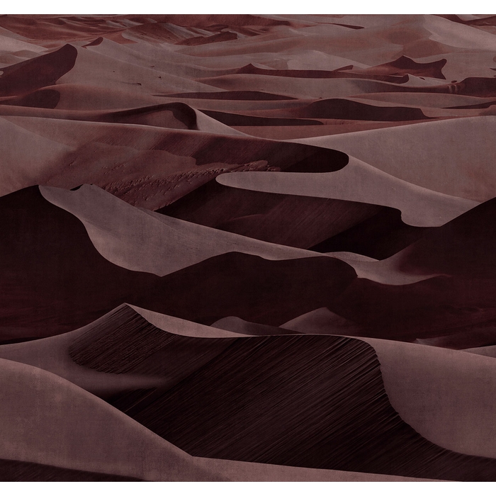 Dune 19011-01