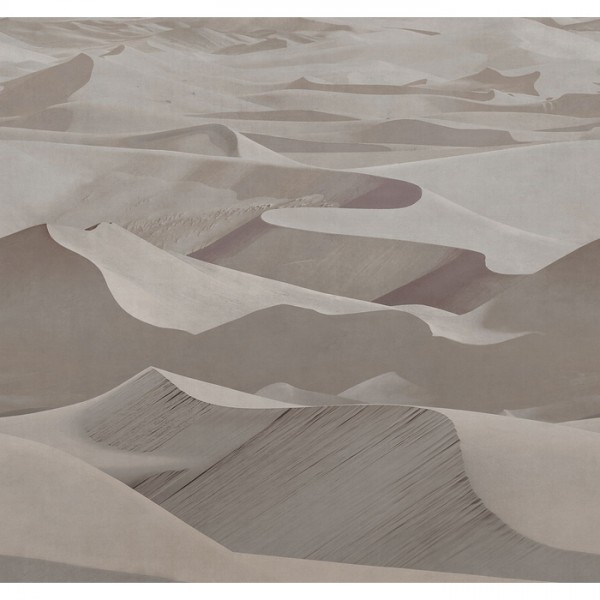 Dune 19011-02