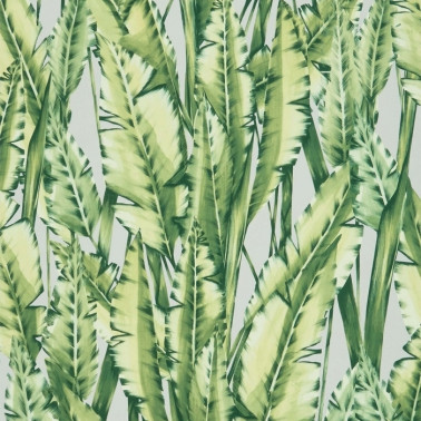 Papel Pintado Tiger Leaf w7333-02 - OSBORNE and LITTLE