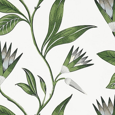 Papel Pintado AT9622 Cleo Vine - ANNA FRENCH