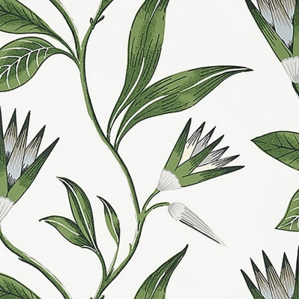 Papel Pintado AT9622 Cleo Vine - ANNA FRENCH