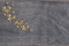 Papel Pintado Agua de Pozo GLAG133A - GLAMORA