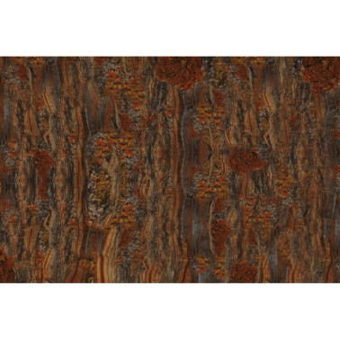 Papel Pintado CRICKET GLCR071B - GLAMORA