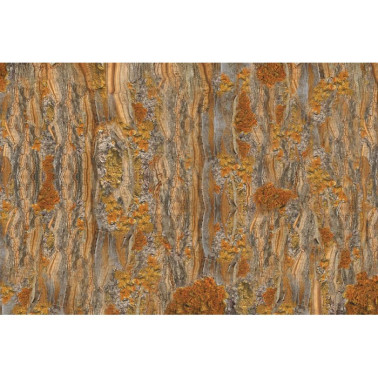 Papel Pintado CRICKET GLCR074A - GLAMORA