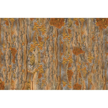 Papel Pintado CRICKET GLCR074B - GLAMORA