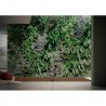 Papel Pintado GARDEN GLPI21A - GLAMORA