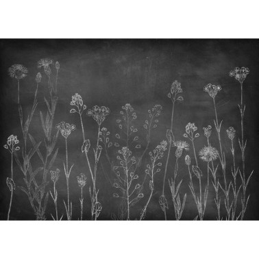 Papel Pintado Wild Chalk Night Mural 8500102 - COORDONNE