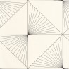 101069006