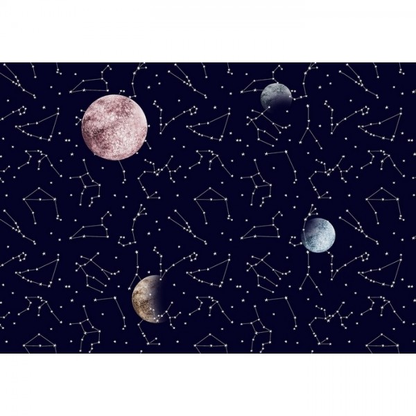 Galaxy Night Mural 8500161