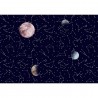 Galaxy Night Mural 8500161