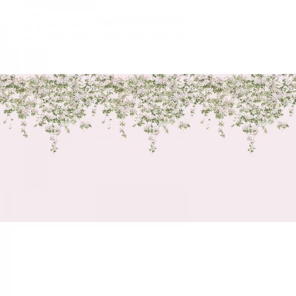 Classic Clematis Mural Wallpaper Pink