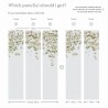 Papel Pintado Classic Clematis Mural Wallpaper Dusty Blue - SIAN ZENG