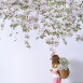 Magnetic Classic Clematis Mural Wallpaper White