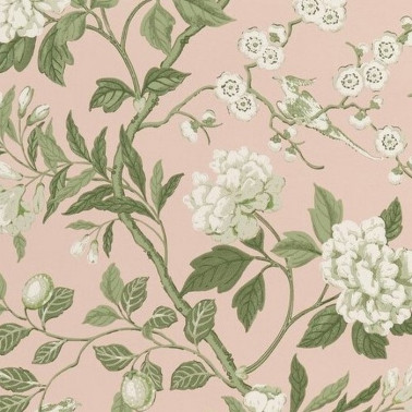 Papel Pintado Emperors Garden Blush BW4500011 - GP & JBAKER