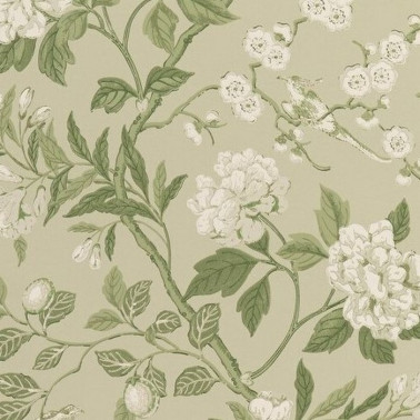 Papel Pintado Emperors Garden Soft Green BW4500010 - GP & JBAKER