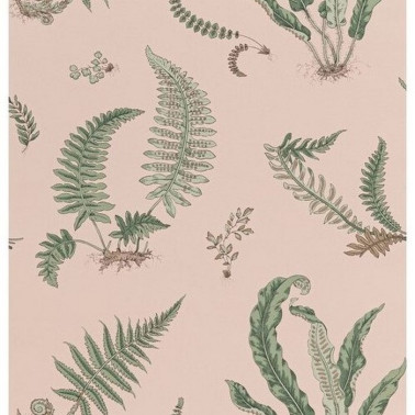 Papel Pintado Ferns Blush BW4504411 - GP & JBAKER