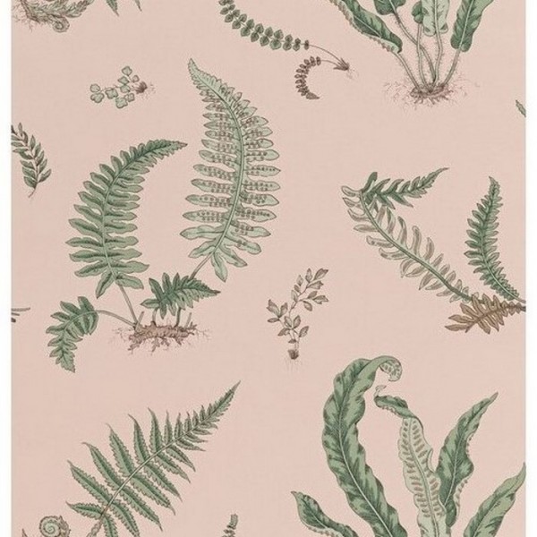 Papel Pintado Ferns Blush BW4504411 - GP & JBAKER Papel Pintado Ferns Blush BW4504411 - GP & JBAKER