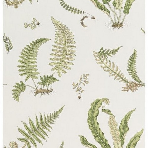 Papel Pintado Ferns Leaf BW4504410 - GP & JBAKER Papel Pintado Ferns Leaf BW4504410 - GP & JBAKER