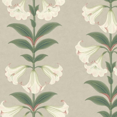 Papel Pintado Angel's Trumpet 117-3007 - COLE and SON