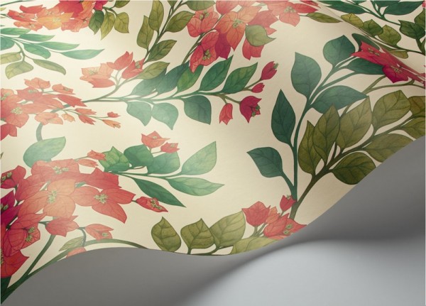 Papel Pintado Bougainvillea 117-6016 - COLE and SON