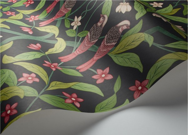 Papel Pintado Jasmine & Serin Symphony 117-10028 - COLE and SON