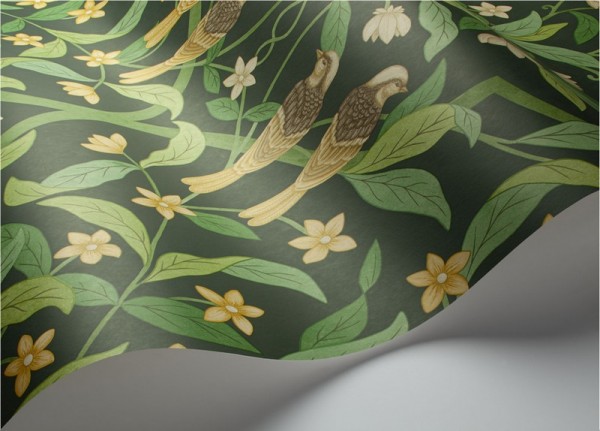 Papel Pintado Jasmine & Serin Symphony 117-10029 - COLE and SON