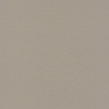 Papel Pintado Encyclopedia Lignum Taupe2 82541508 - Casadeco