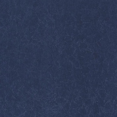 Papel Pintado Oxford Lewis Bleu Marine 84076534 - Casadeco