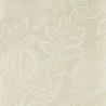 Cantaloupe 216760