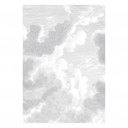 WP-621 Wall Mural Engraved Clouds