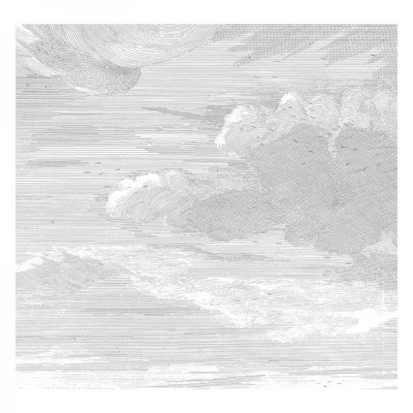 WP-635 Wall Mural Engraved Clouds
