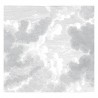 WP-636 Wall Mural Engraved Clouds