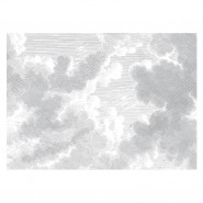 WP-651 Wall Mural Engraved Clouds