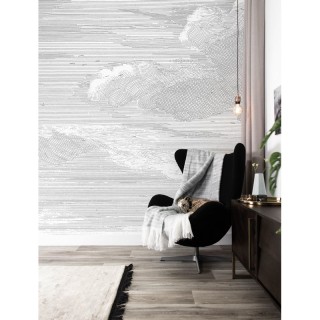 WP-620 Wall Mural Engraved Clouds