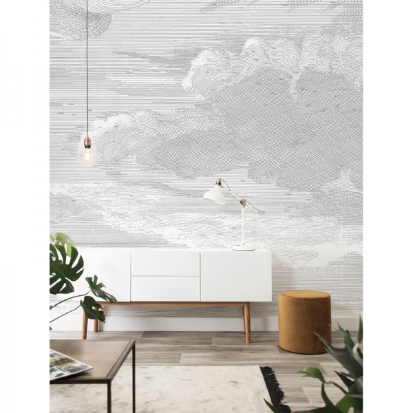 WP-650 Wall Mural Engraved Clouds