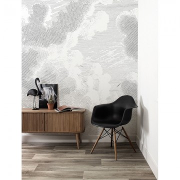 WP-651 Wall Mural Engraved Clouds