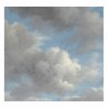 WP-394 Wall Mural Golden Age Clouds