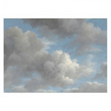 WP-396 Wall Mural Golden Age Clouds